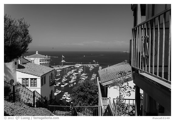 Hillside houses overlooking harbor, Avalon Bay, Santa Catalina Island. California, USA (black and white)