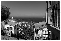 Hillside houses overlooking harbor, Avalon Bay, Santa Catalina Island. California, USA (black and white)