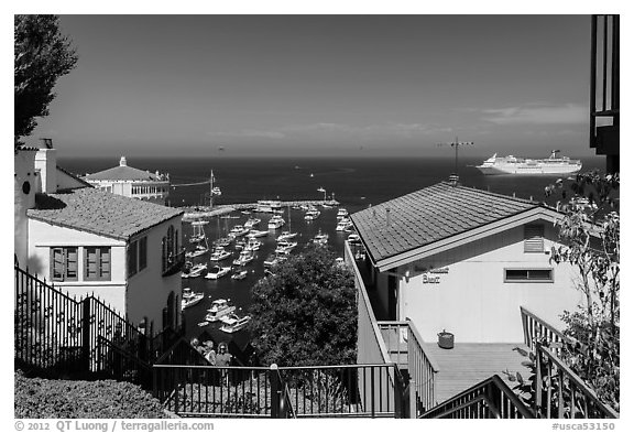 Stairs between residences overlooking harbor, Avalon, Catalina. California, USA (black and white)