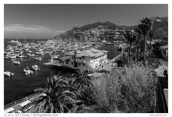 Harbor and waterfront, Avalon Bay, Catalina Island. California, USA (black and white)