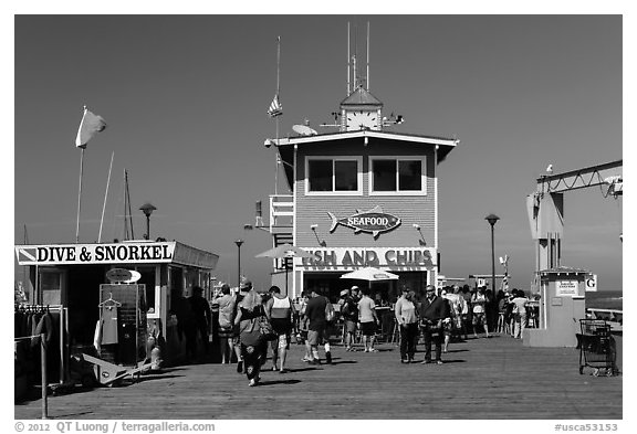 Pier, Avalon Bay, Santa Catalina Island. California, USA (black and white)