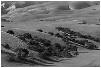 Gentle hills and trees near King City. California, USA (black and white)