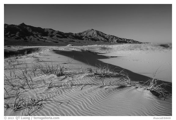 On Kelso Sand Dunes. Mojave National Preserve, California, USA