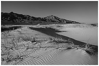 On Kelso Sand Dunes. Mojave National Preserve, California, USA ( black and white)