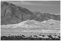 Kelso Sand Dunes at the base of Granite Mountains. Mojave National Preserve, California, USA (black and white)