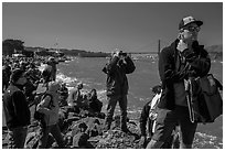 Spectators following America's Cup decisive race from shore. San Francisco, California, USA ( black and white)