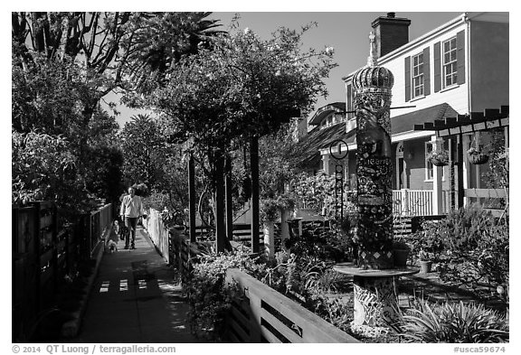 Man walking dogs in alley. Venice, Los Angeles, California, USA (black and white)