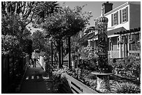 Man walking dogs in alley. Venice, Los Angeles, California, USA ( black and white)