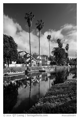 Houses, boats, and palm trees along canal. Venice, Los Angeles, California, USA (black and white)