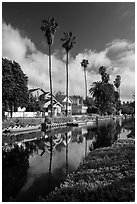 Houses, boats, and palm trees along canal. Venice, Los Angeles, California, USA ( black and white)