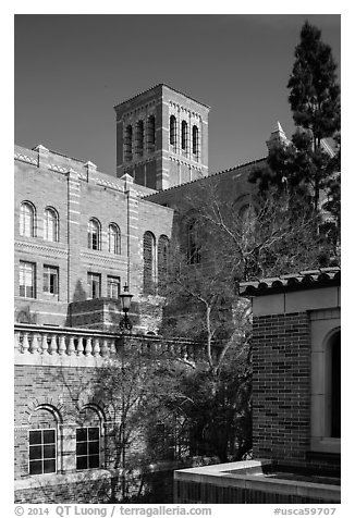 University of California at Los Angeles, Westwood. Los Angeles, California, USA (black and white)