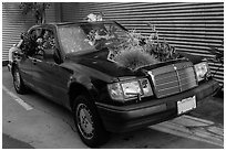 Plants growing out of Mercedes car, Bergamot Station. Santa Monica, Los Angeles, California, USA ( black and white)