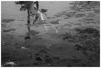 Tar pit with reflections of Mastodon, La Brea. Los Angeles, California, USA ( black and white)