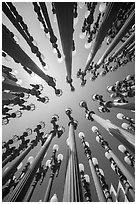 Looking up iron antique street lamps LACMA art installation. Los Angeles, California, USA ( black and white)