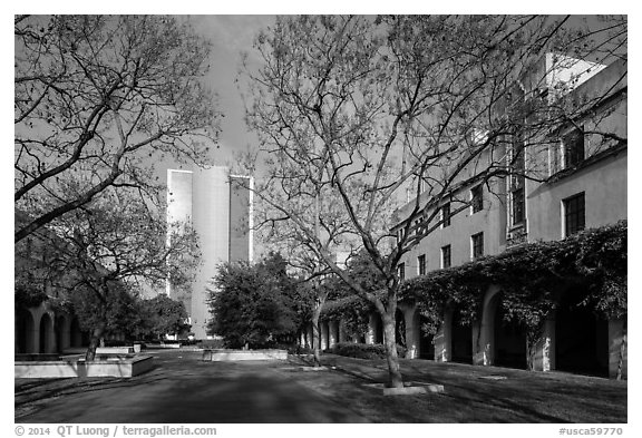 California Institute of Technology. Pasadena, Los Angeles, California, USA (black and white)