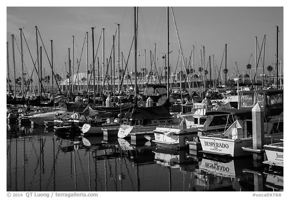 Queen Mary seen behind yachts in marina. Long Beach, Los Angeles, California, USA (black and white)