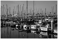 Queen Mary seen behind yachts in marina. Long Beach, Los Angeles, California, USA ( black and white)