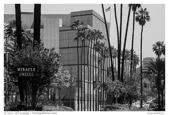 Miracle Mile. Los Angeles, California, USA (black and white)