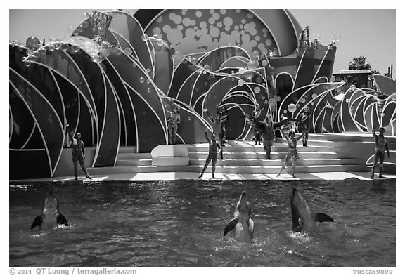 Cirque de la Mer show, Seaworld. SeaWorld San Diego, California, USA (black and white)