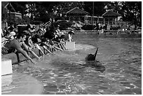 People reaching for dolphin, Dolphin Point. SeaWorld San Diego, California, USA ( black and white)