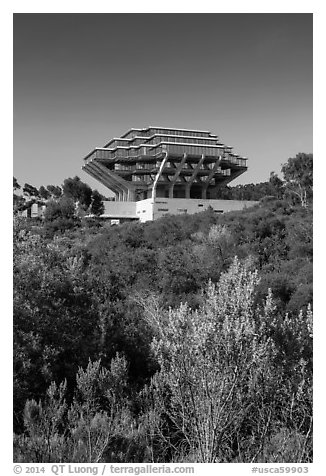 Geisel Library seen from parkland, UCSD. La Jolla, San Diego, California, USA (black and white)
