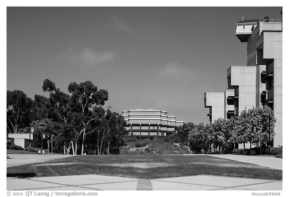 Campus perspective with Fallen Star and Geisel Library, University of California. La Jolla, San Diego, California, USA (black and white)