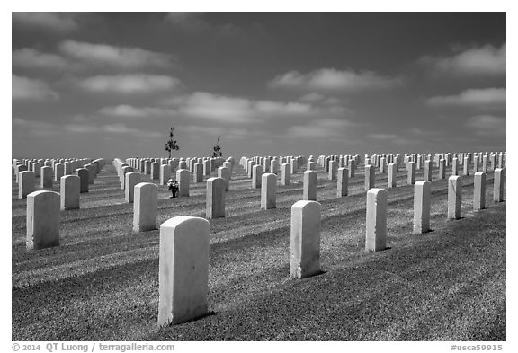 Gravestones, Fort Rosecrans National Cemetary. San Diego, California, USA (black and white)