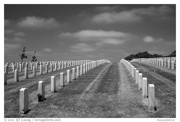 Headstones, Fort Rosecrans National Cemetary. San Diego, California, USA (black and white)