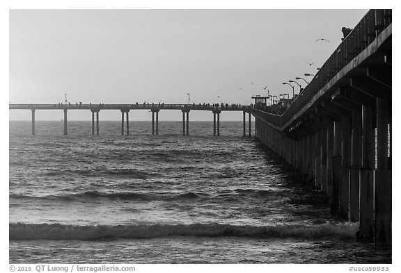 Black and White Picture/Photo: Ocean Beach Pier at sunset. San Diego ...