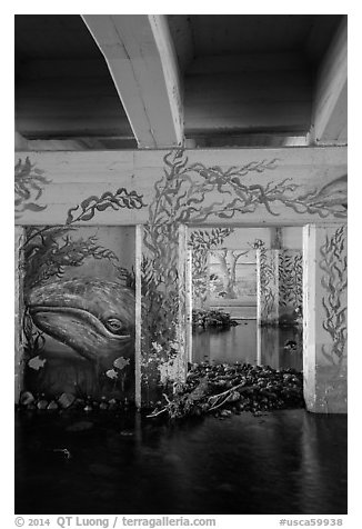 Underpass with mural of marine life, Leo Carrillo State Park. Los Angeles, California, USA (black and white)