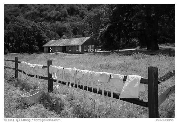 Laundry drying on fence, Fort Tejon state historic park. California, USA (black and white)