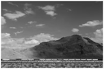 Freight train in desert. California, USA ( black and white)