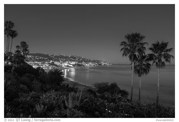 View from park at night. Laguna Beach, Orange County, California, USA (black and white)
