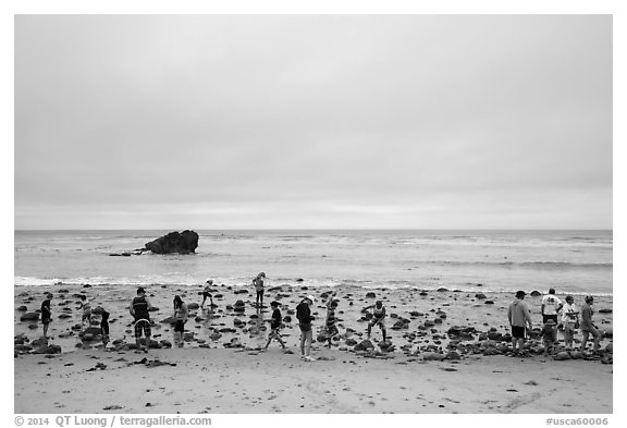 Vistors explore tidepools, Leo Carillo State Beach, Santa Monica Mountains NRA. Los Angeles, California, USA (black and white)