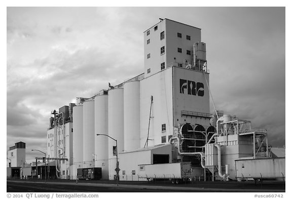 Grain elevator. California, USA (black and white)