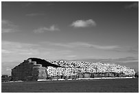 Hay covered by tarp weighted by tires. California, USA ( black and white)