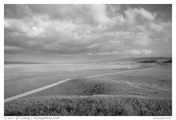 Road and Soda Lake. Carrizo Plain National Monument, California, USA (black and white)
