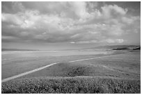 Road and Soda Lake. Carrizo Plain National Monument, California, USA ( black and white)