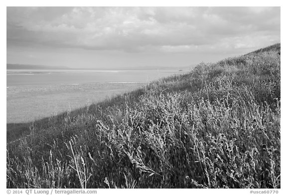 Butte in the spring and Soda Lake. Carrizo Plain National Monument, California, USA (black and white)