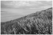 Butte in the spring and Soda Lake. Carrizo Plain National Monument, California, USA ( black and white)