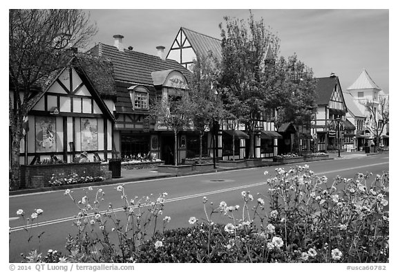 Street and flowers. Solvang, California, USA (black and white)