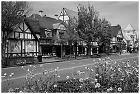 Street and flowers. Solvang, California, USA ( black and white)
