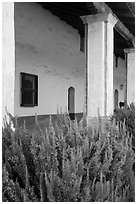 Flowers and gallery, Mission La Purísima. Lompoc, California, USA ( black and white)