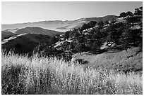 Pictures of San Luis Reservoir