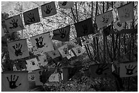 Flags in garden. Big Sur, California, USA ( black and white)