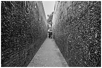 Bubblegum Alley. California, USA ( black and white)