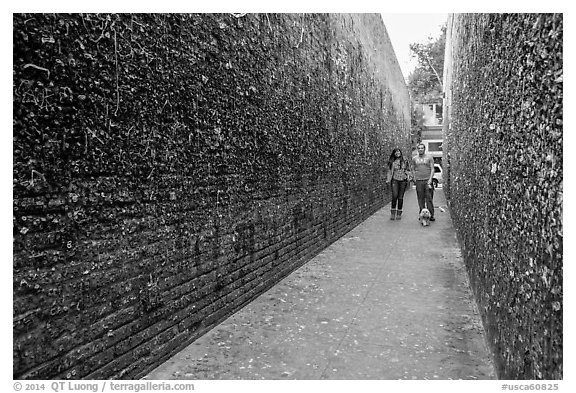 Alley lined with chewed gum left by passers-by. California, USA (black and white)