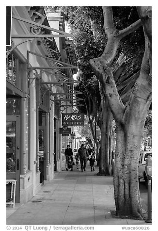 Shopping street. California, USA (black and white)