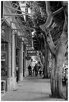Shopping street. California, USA ( black and white)