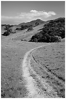 Trail and luch hills, Pacheco State Park. California, USA ( black and white)